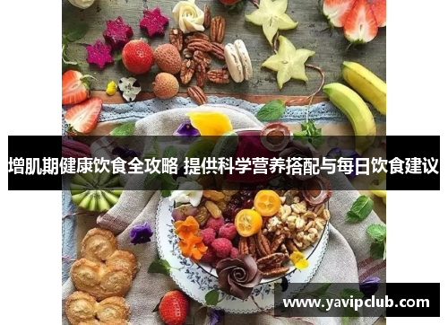 增肌期健康饮食全攻略 提供科学营养搭配与每日饮食建议 增肌期健康饮食全攻略 提供科学营养搭配与每日饮食建议