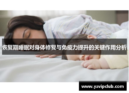 恢复期睡眠对身体修复与免疫力提升的关键作用分析